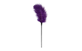 Feather Tickler Purple