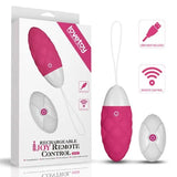 iJoy Rechargeable Remote Control Egg